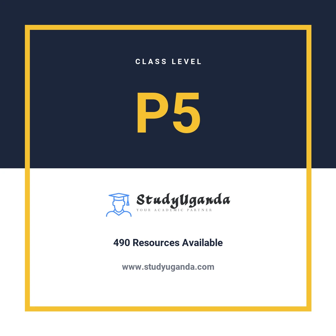 P5 Class Category Card